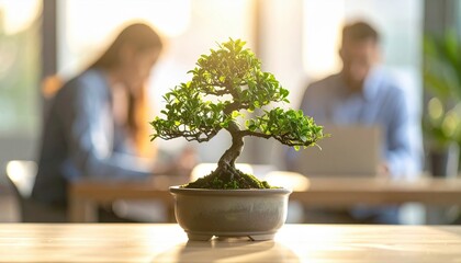 Bonsai tree on office desk symbolizing sustainable growth, balance, and mindful business philosophy in corporate culture and productivity environments