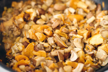Finely chopped chanterelles, oyster mushrooms and champignons are fried in frying pan. Cooking process.