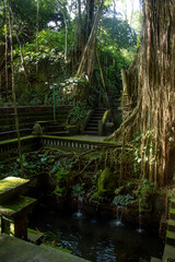 The Sacred,  Monkey Forest , Ubud, Bali, Indonesia