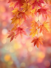 web banner design for autumn season and end year activity with red and yellow maple leaves with soft focus light and bokeh background