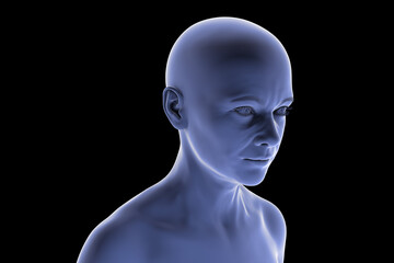 Middle-aged woman looking away from the camera, 3D illustration