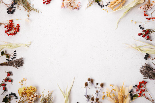 Panoramic floral frame with dried flowers, herbs, berries and wheat on light background, autumn fall botanical border, natural decoration for seasonal greeting card, eco product design, rustic