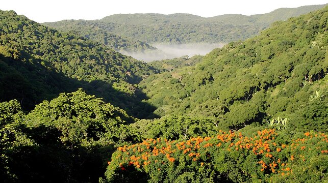 Vibrant wildflowers blooming among lush green trees with misty mountains in the background and soft morning sunlight illuminating the landscape - Powered by Adobe