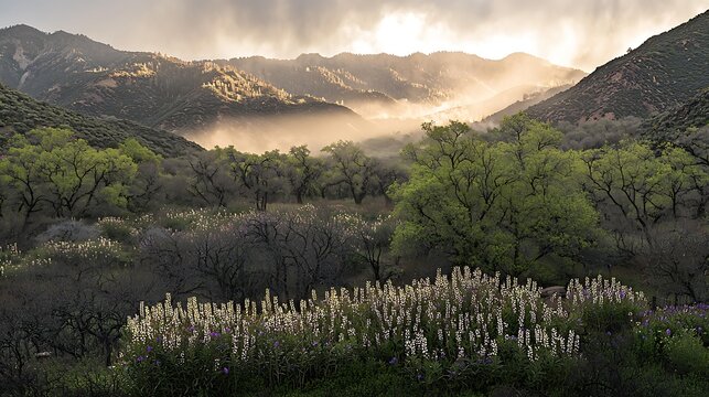 Serene mountain landscape featuring blooming wildflowers and green trees under a blanket of morning fog and golden sunlight