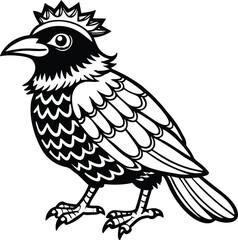 Fototapeta premium Black bird with a crown raven