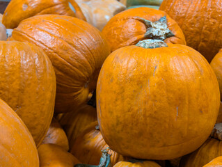 Pumpkin on the market