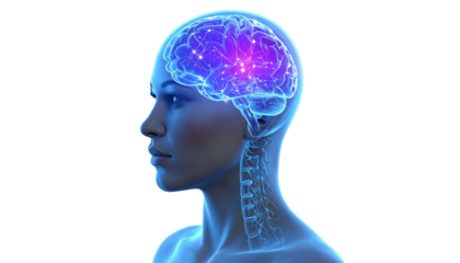 Isolated on Transparent Background 3D Render of Female Head with Holographic Brain Projection, Front Angle