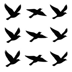 Fototapeta premium A collection of nine black silhouette flying birds on a white background, captured in various poses