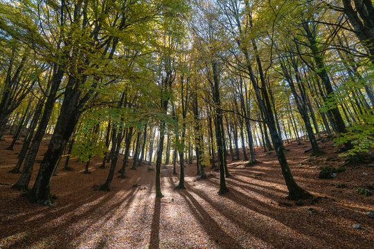 Monte Livata - Campo dell'Osso - Subiaco - Roma - Lazio - Italia