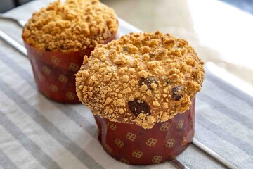 Original and exclusive Brazilian-style panettones, known as 