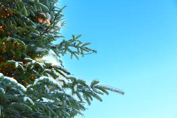 Festive Christmas Tree Decoration Against Clear Blue Sky