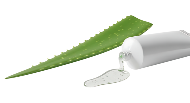 Aloe vera gel dripping isolated on transparent background