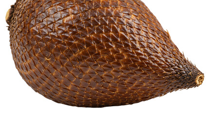 Close up of Salak Fruit with Distinct Scaly Brown Skin and Texture