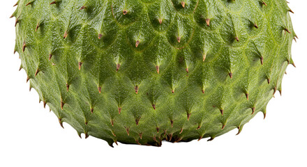 Close up of Green Soursop Fruit Skin with Distinctive Spiky Texture