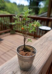Decorative baskets filled with vibrant orange fruits and greenery are showcased at a festive market filled with shoppers