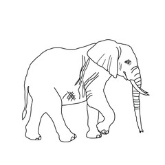 Elephant Vector Outline