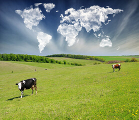 World Map Clouds Over Morning Meadow