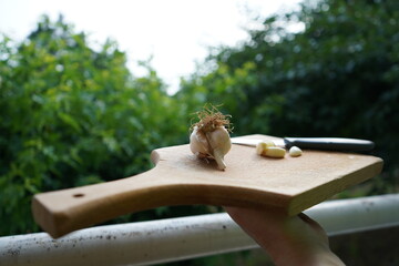 Whole and peeled garlic ready for cooking on a wooden board.