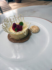 A delicious dessert with a raspberry topping and finely decorated