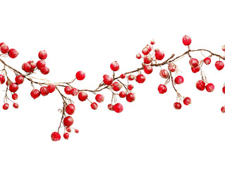 Red berry garland isolated on transparent background for christmas decoration