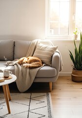 Peaceful Ginger Cat Napping on a Cozy Sofa Bathed in Warm Sunlight, Hygge Home Interior