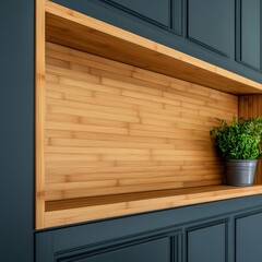 Wooden Shelf with Plant on Blue Wall, interior, decor