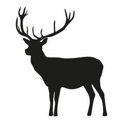 Deer_04
