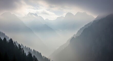 Misty mountain landscape with fog and trees scenic view of nature and forest in the morning light