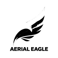 Fototapeta premium abstract logo design