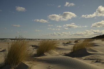 Coastal sand dunes with beach grass and sea waves under blue cloudy sky