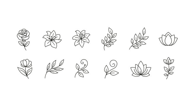Collection of delicate line art floral elements and botanical illustrations, featuring roses, lilies, lotus flowers, and leafy branches, perfect for elegant designs, invitations, and natural themes