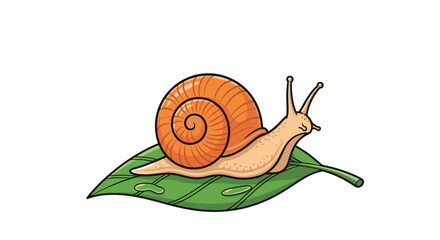 Snail illustration cute snail on leaf cartoon snail vector snail drawing snail art snail image snail graphic
