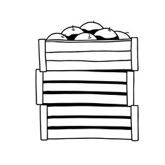fruit crates stacked on white background