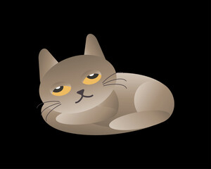 This vector illustration depicts a dozing cat curled up in a relaxed pose. The cat is isolated against a solid black background, highlighting its peaceful and calm nature. The illustration conveys a s