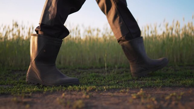 Walking in muddy field wearing rubber boot and stepping through grass and mud near crop row while farmer performs agriculture work with step showing sole contact and soil texture in golden light