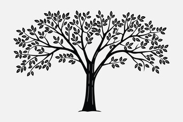 Fototapeta premium Ash tree line art with branches and leaves