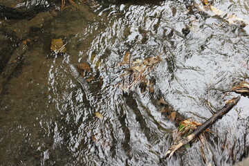 water cascading down a stream