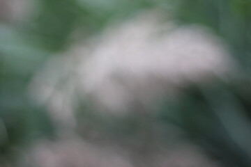 An abstract view of wild flowers swaying in the wind on an overcast day.