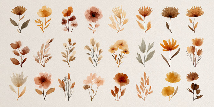 Watercolor floral elements collection in warm earthy tones, perfect for rustic designs