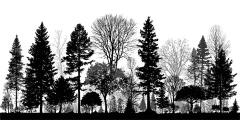 Diverse forest silhouette with various evergreen and deciduous trees in black and white