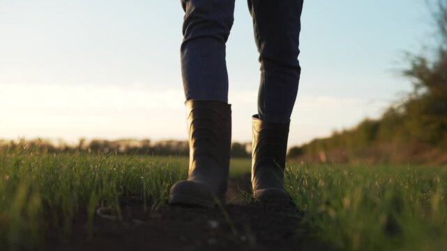 Walking through grassy field at sunset walking on dirt path with boot step and grass closeup showing leg and person in rubber boot against horizon and nature landscape with soft evening light