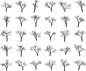 Silhouette of leafless trees creating a stark repeating pattern backdrop