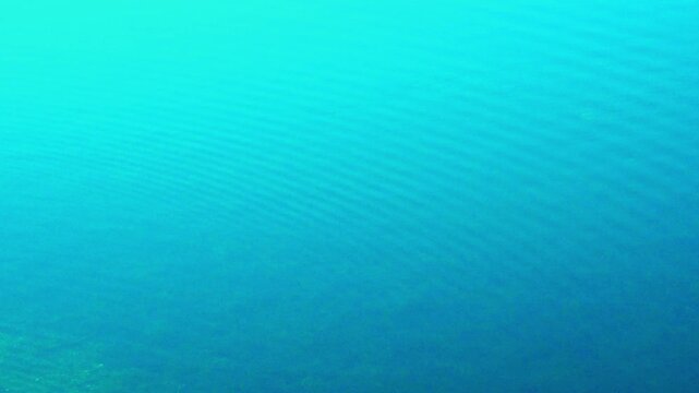 The blue expanse of calm water rippled by small circular waves gives a great feeling of peace and relaxation.