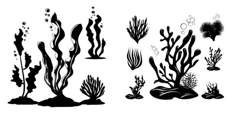 A modern cartoon illustration featuring pink seaweed, water bubbles, coral reef, and aquatic plants is set against a white background, incorporating various underwater flora and ocean bottom design