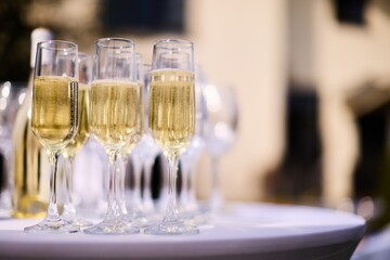 Glasses of sparkling wine are on the table	