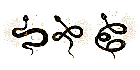 Stylized sacred serpents in mystical geometry patterns representing Kundalini awakening. Symbolic illustration of energy flow transformation healing and connection to divine source.