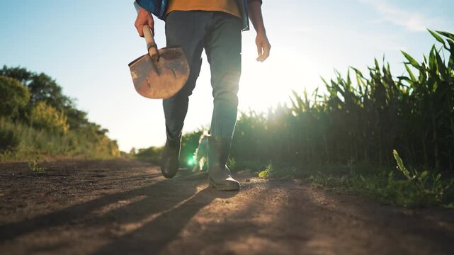 Walking farmer carrying shovel along dirt road at sunrise through corn field with boot print in soil and long shadow sunlight highlighting agriculture path outdoor labor rural harvest closeup