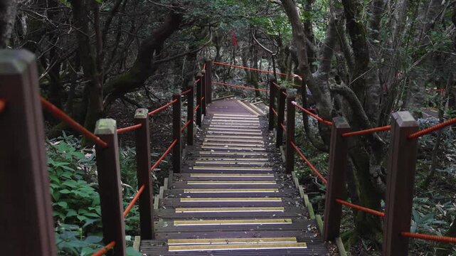 Hallasan National Park, Jeju island, South Korea, vibrant view of trail with a wooden ladder path stairs, trekking and climbing, stairway to Halla mountain summit, hiking in Korea, Jeju-do, sunny day