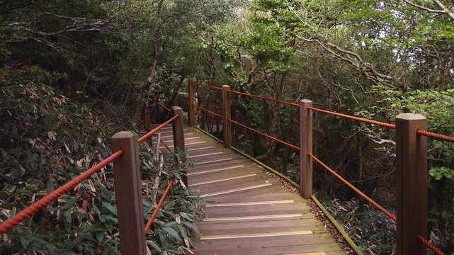 Hallasan National Park, Jeju island, South Korea, vibrant view of trail with a wooden ladder path stairs, trekking and climbing, stairway to Halla mountain summit, hiking in Korea, Jeju-do, sunny day