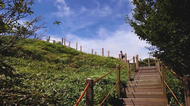 Hallasan National Park, Jeju island, South Korea, vibrant view of trail with a wooden ladder path stairs, trekking and climbing, stairway to Halla mountain summit, hiking in Korea, Jeju-do, sunny day